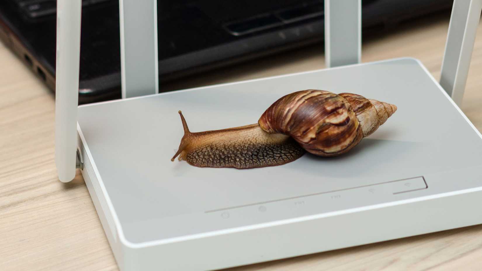 A snail crawls on top of a Wi-Fi router.