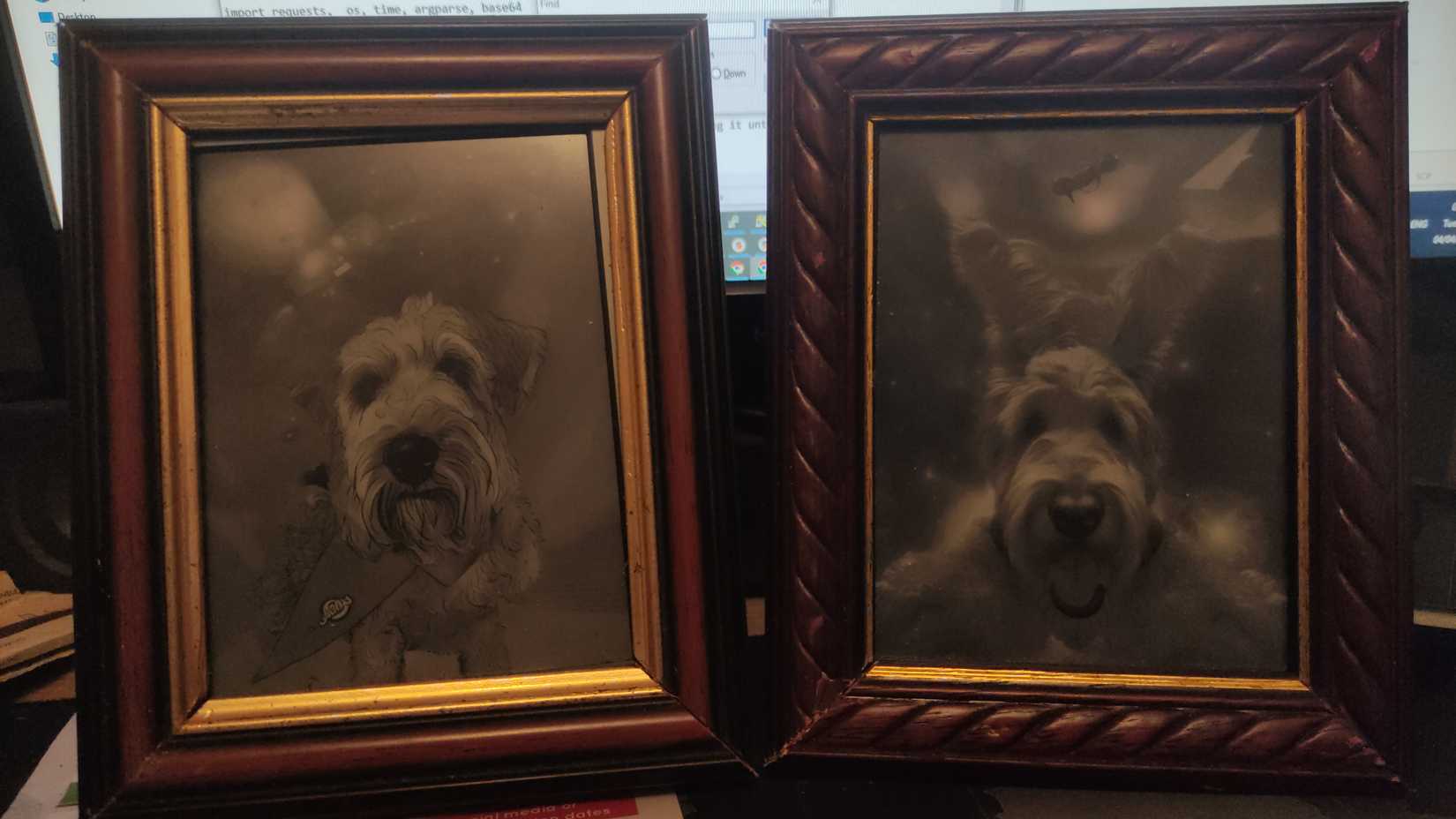 Two dog images shown on jailbroken Kindles.