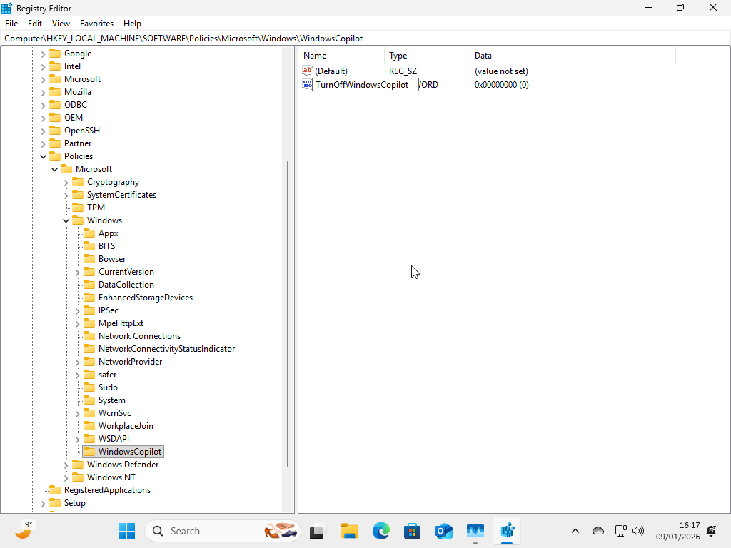 Labeling the new value in Registry Editor.