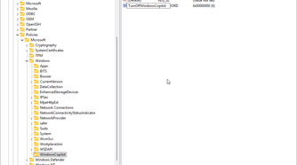 Labeling the new value in Registry Editor.