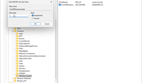 Modifying the value of the key in Registry Editor.