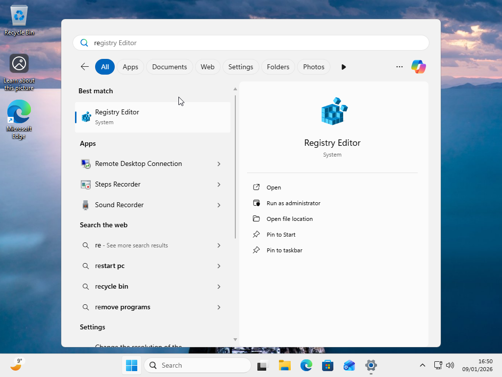 Searching for Windows Registry returns web results. 