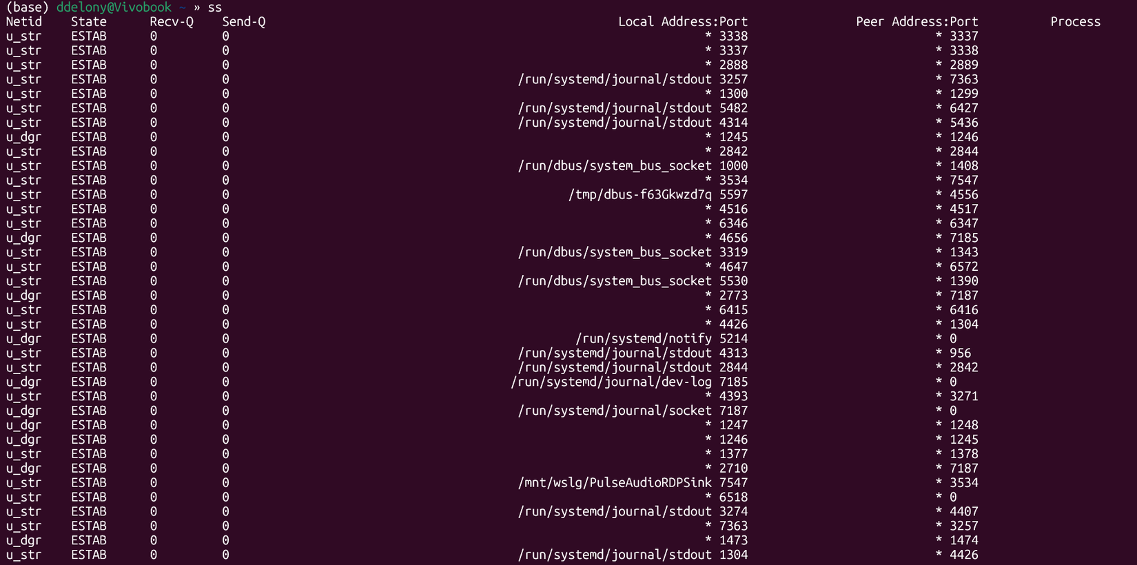 Output of the ss command in the WSL terminal.