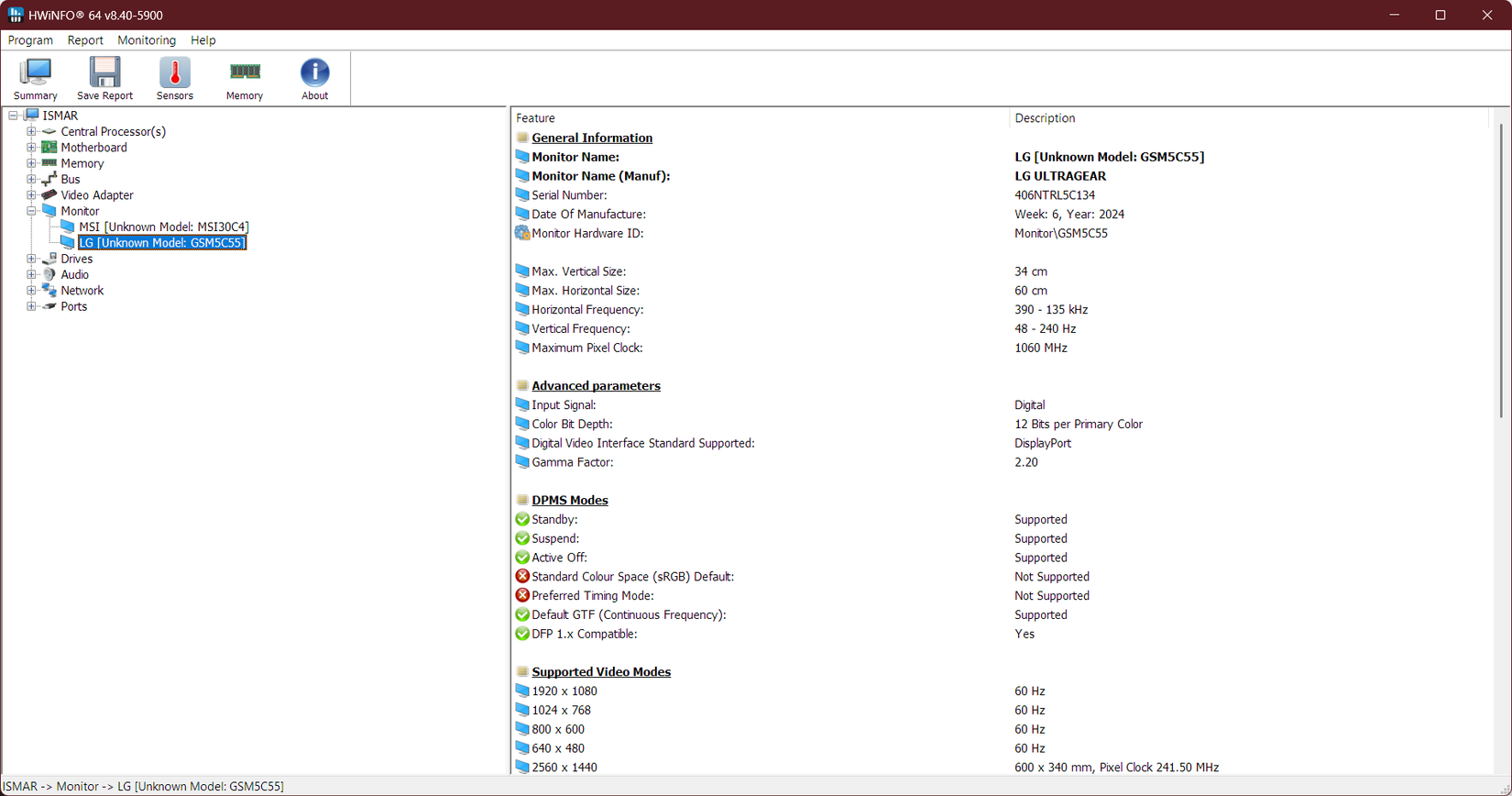 Monitor information in Hwinfo.
