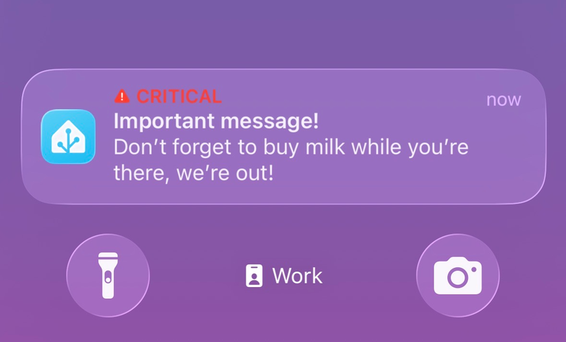 A critical alert on an iPhone sent from Home Assistant with a message not to forget to buy milk.