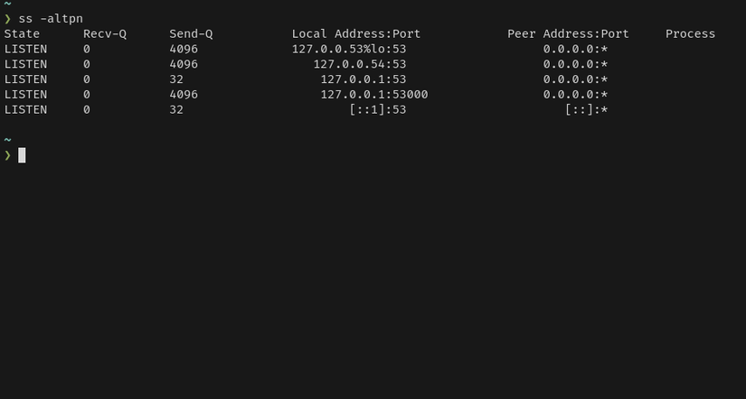 A Linux terminal shows the output of the ss ALTPN command. It's almost identical to its netstat counterpart.