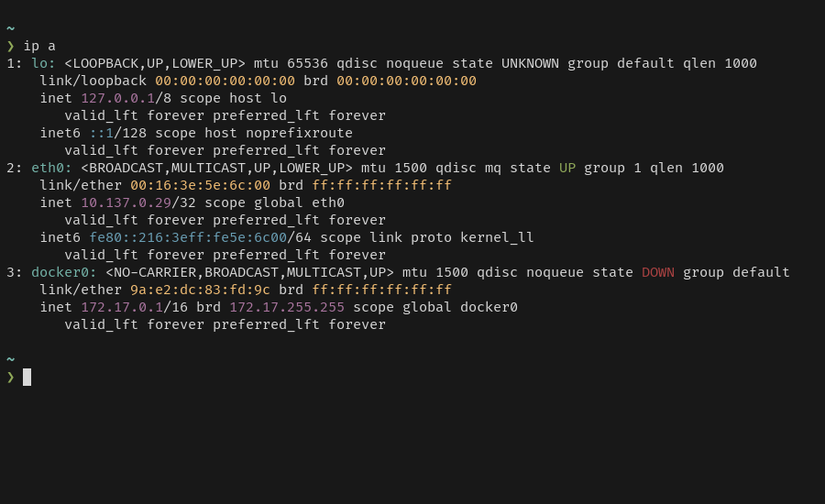A terminal window displays the output of the ip a command, listing network interfaces with their addresses and states.