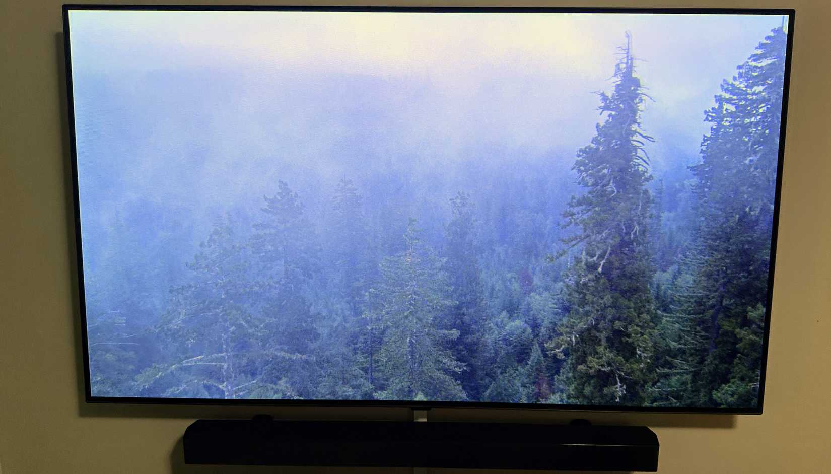 An aerial scene of a forest on a 4K OLED TV from the Planet earth series.