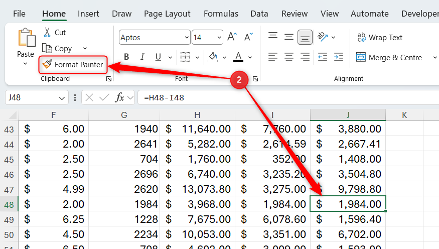 Cell J48 in Excel is selected, and the Format Painter button is highlighted.