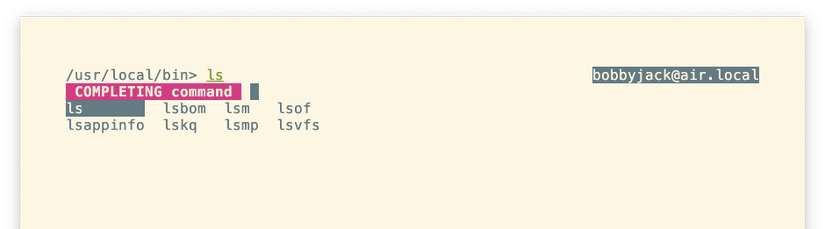 Elvish’s autocomplete feature showing a grid of possible completions for a command beginning "ls."
