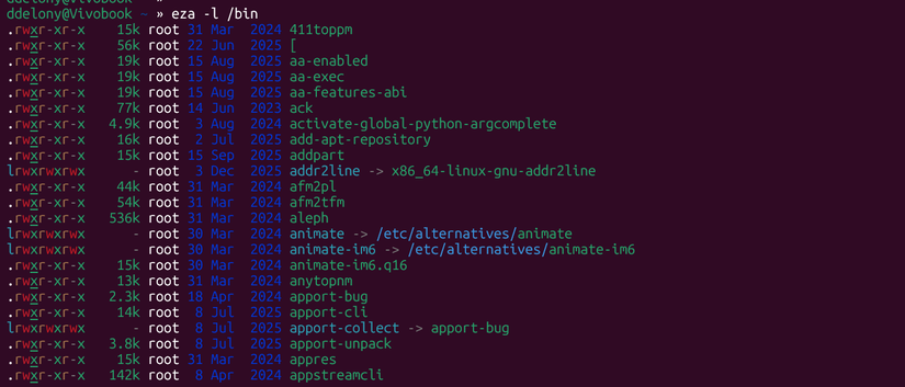 Listing of /bin directory using eza in the Linux terminal.