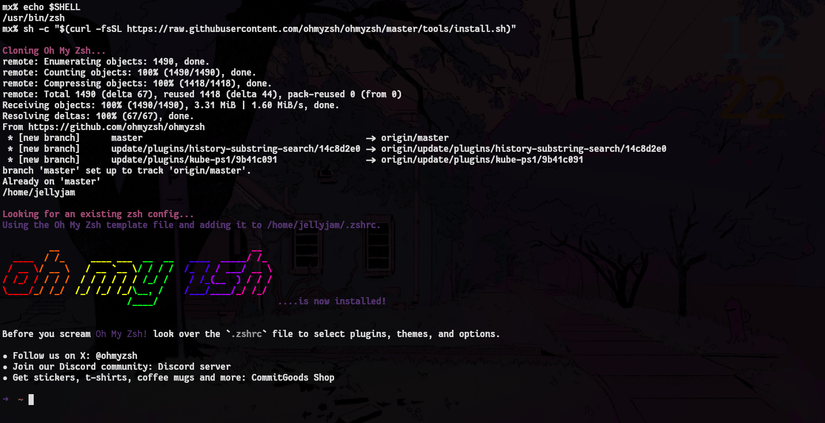 Установка Oh My Zsh.