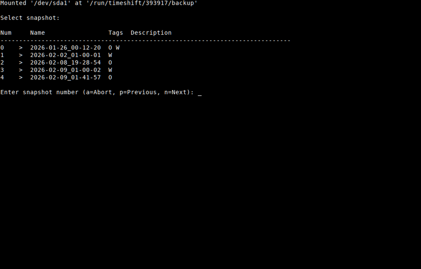 Running Timeshift in the TTY Console.