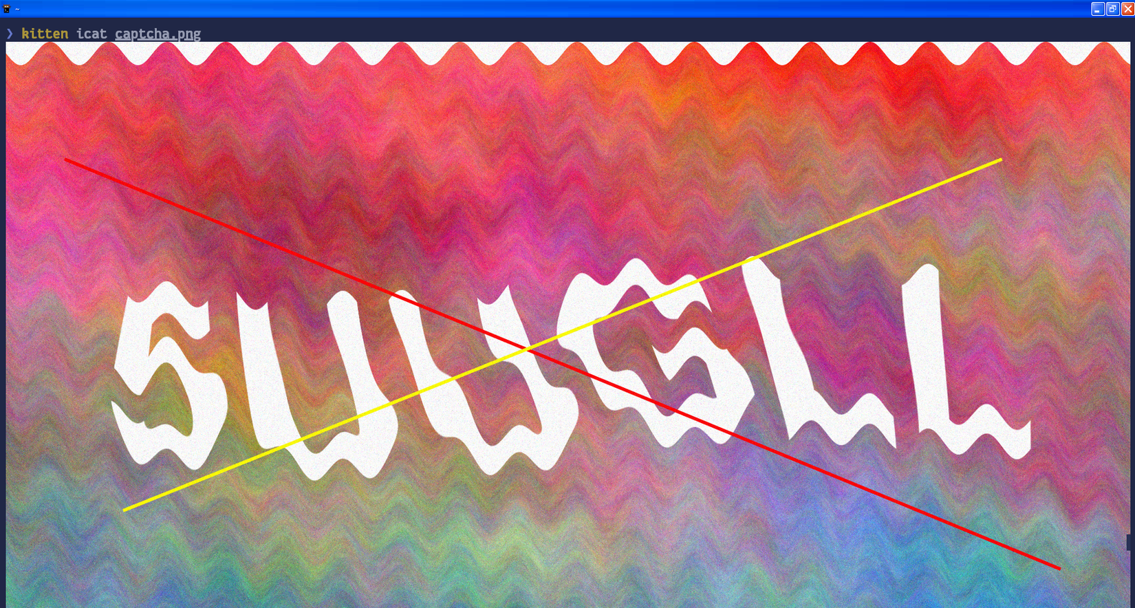 Kitty shows a high-quality image preview within the terminal.
