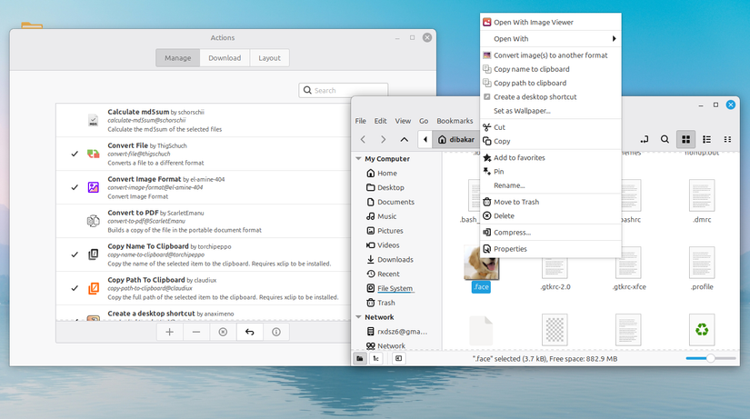 Linux Mint Cinnamon Nemo Actions showcase with a righ-click on an image.