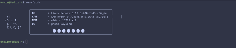mevfetch の使用例