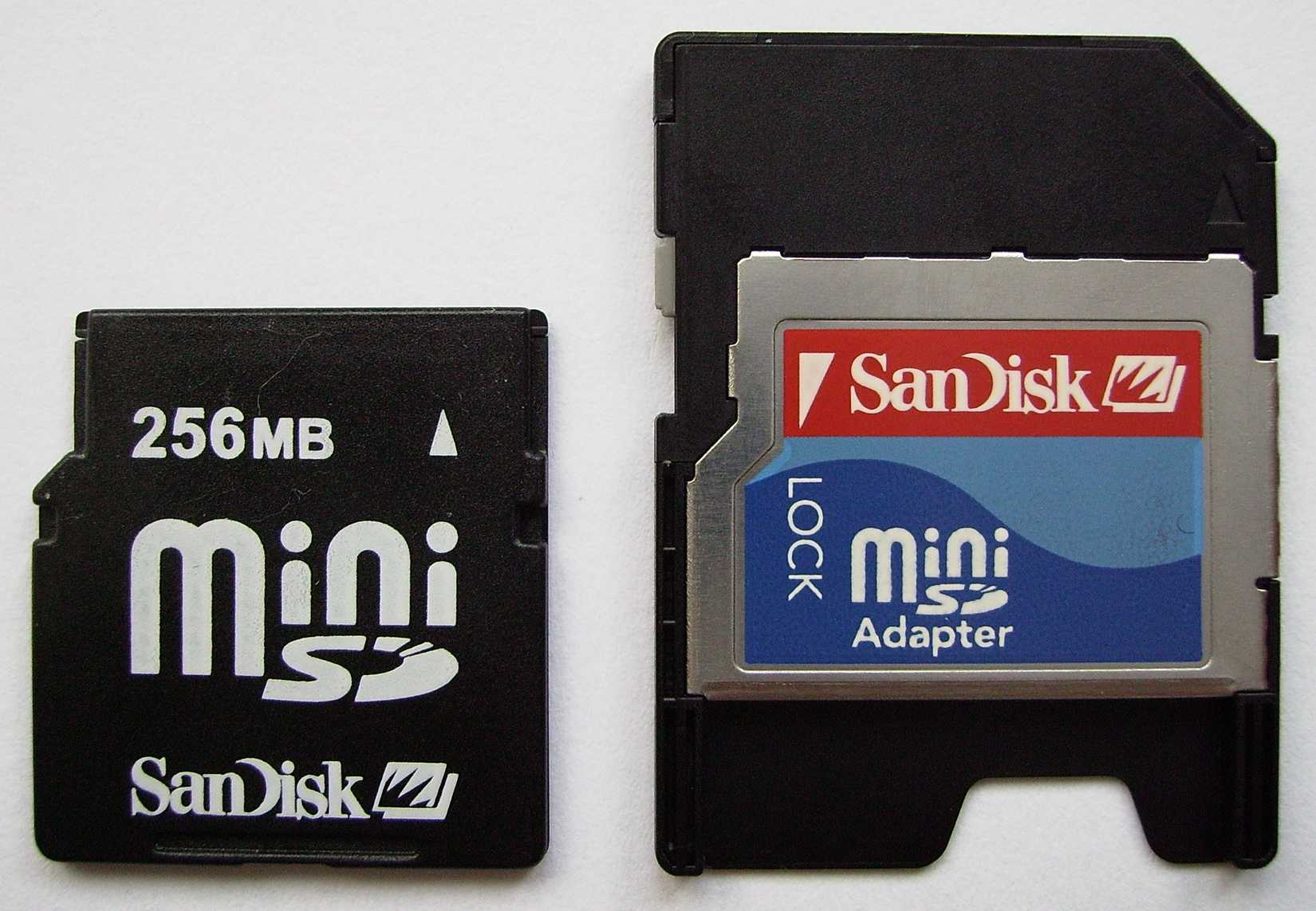 miniSD memory card and adapter.