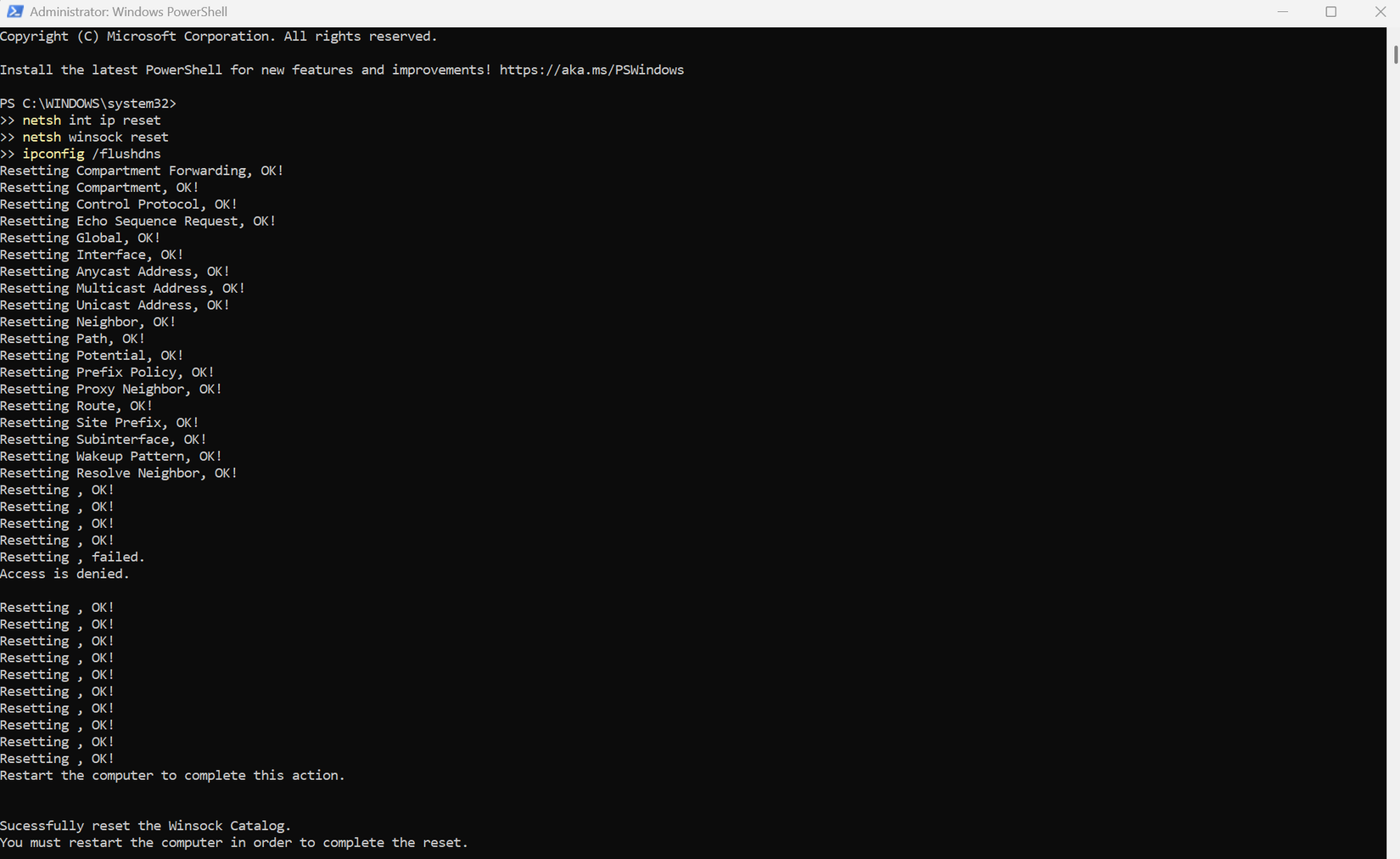 A screenshot of Windows PowerShell with a script to flush the DNS.