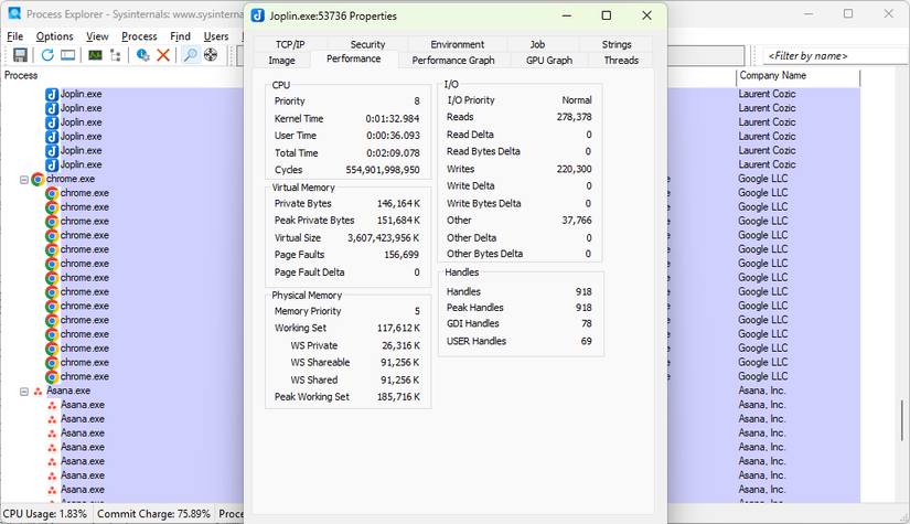 Process Explorer showing the details of Joplin.