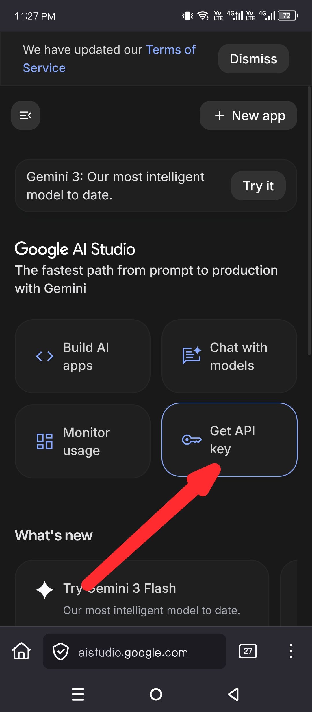 Getting the Gemini API from AI Studio.