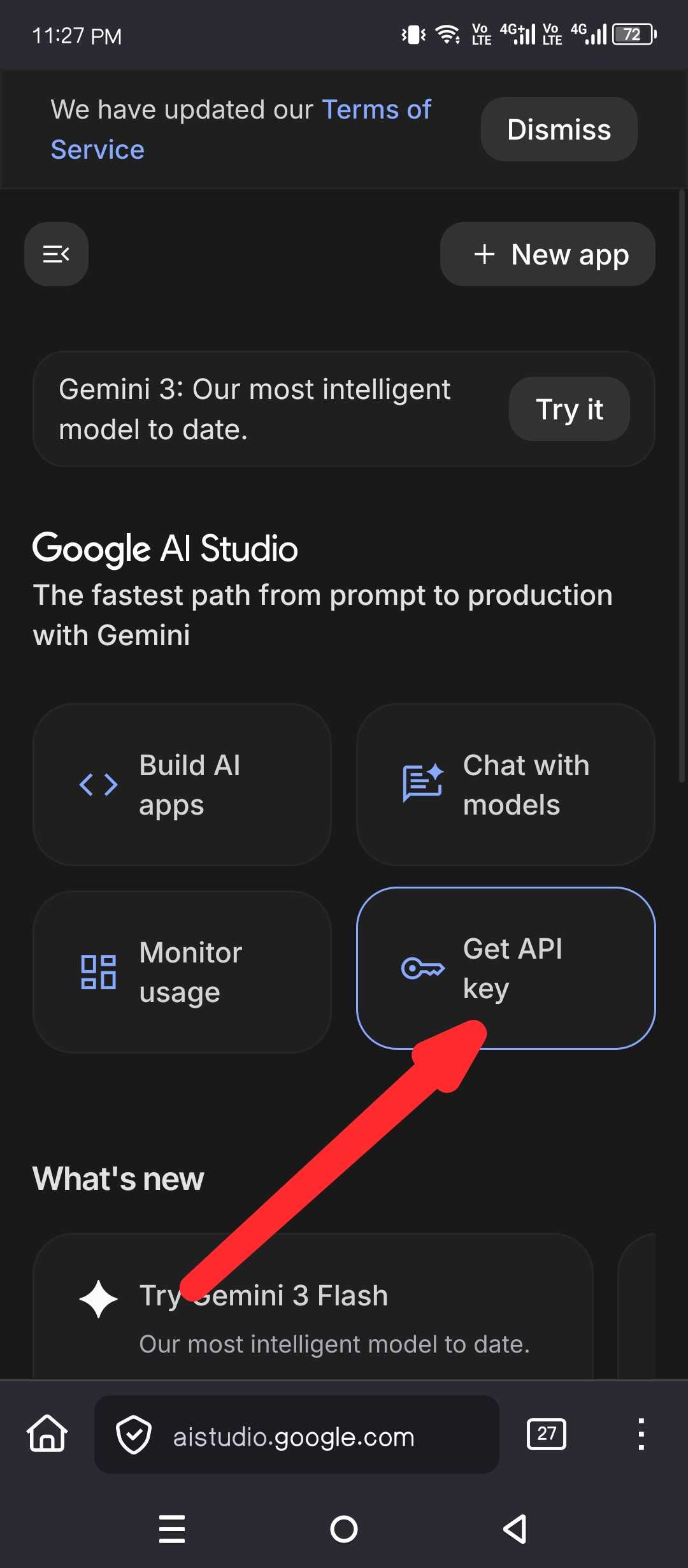 Getting the Gemini API from AI Studio.