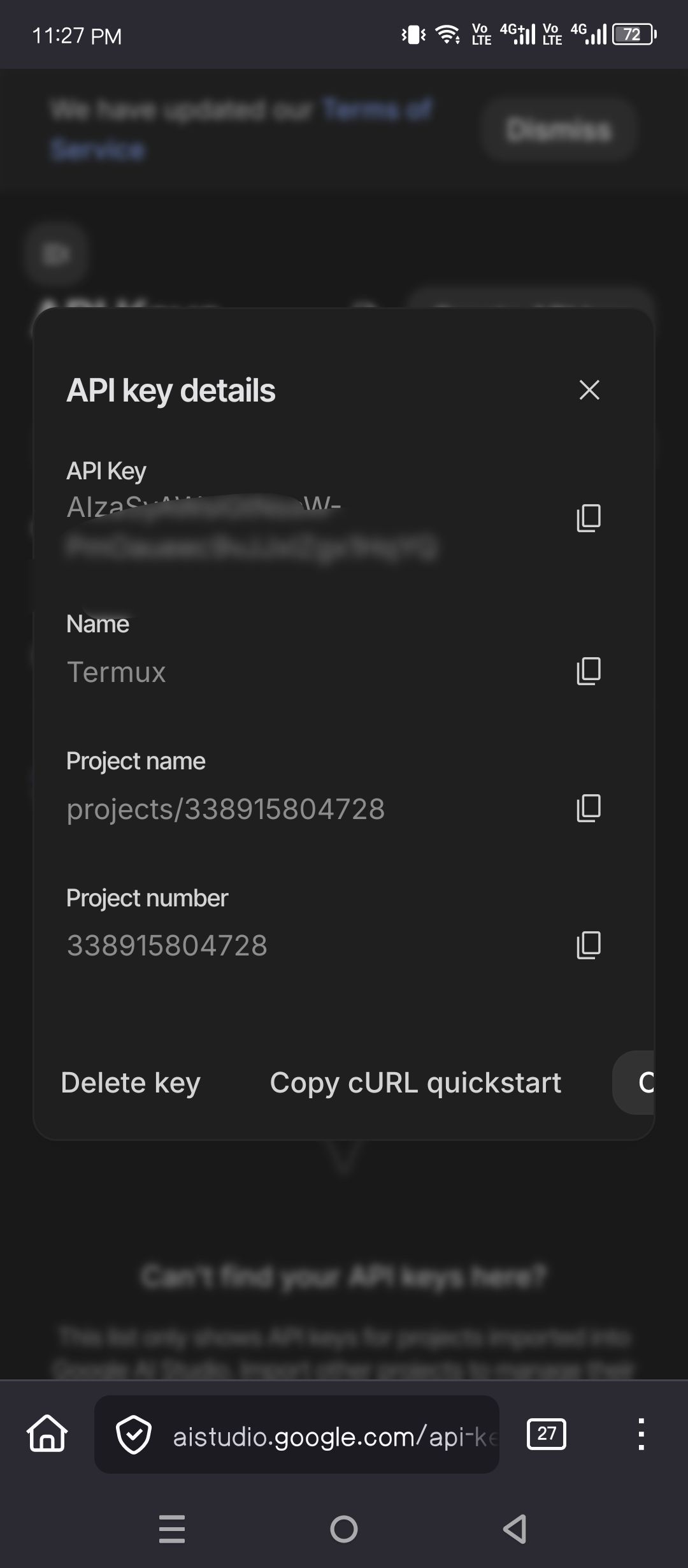 Copying the Gemini API key.