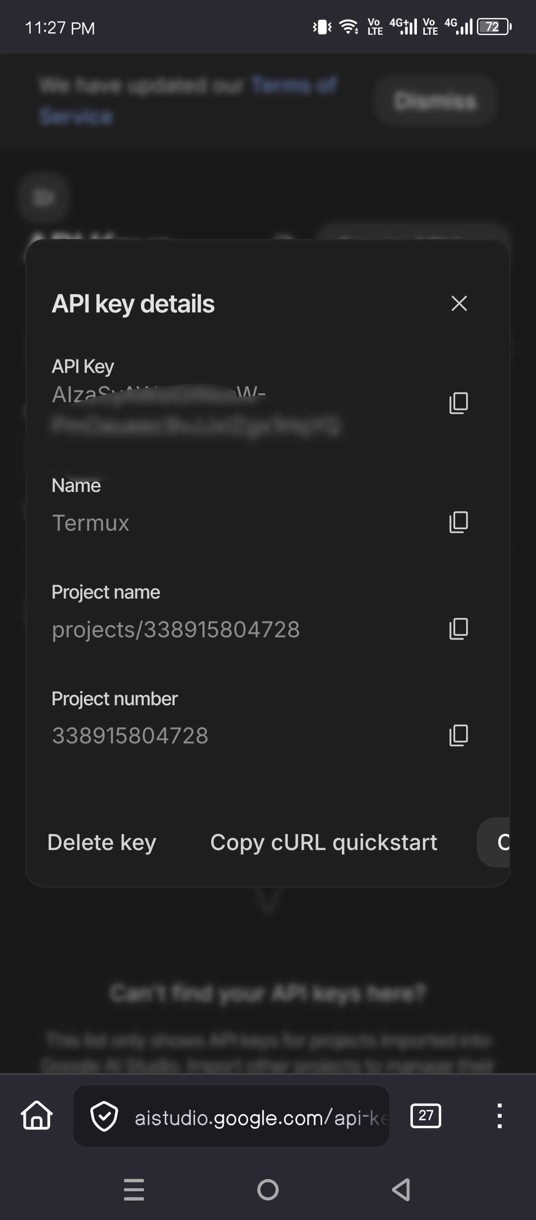 Copying the Gemini API key.