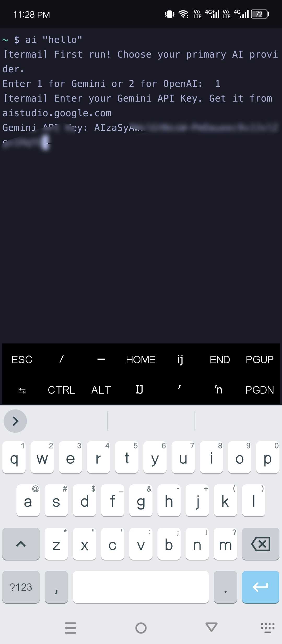 Adding the Gemini API key.