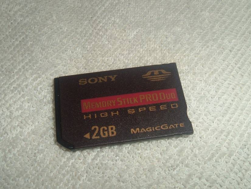 Sony's Memory Stick Pro Duo.