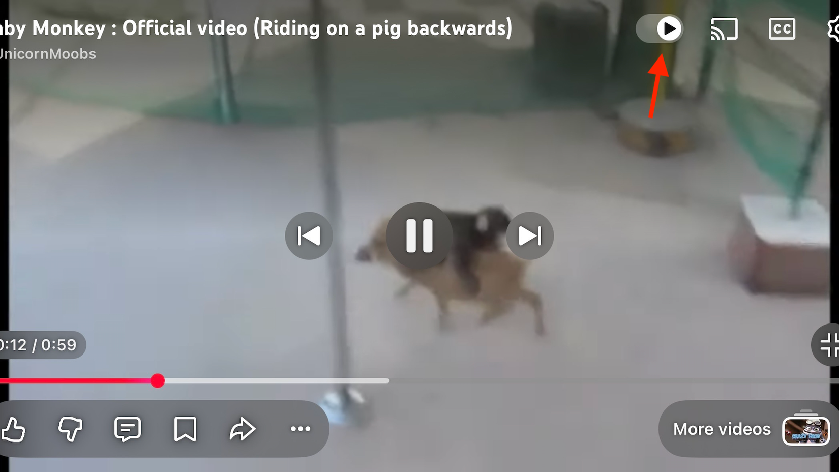 The Autoplay toggle for a YouTube video.