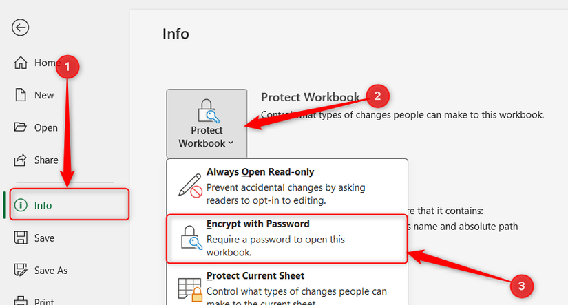 The Encrypt with Password button in the Info menu on the Excel File screen.
