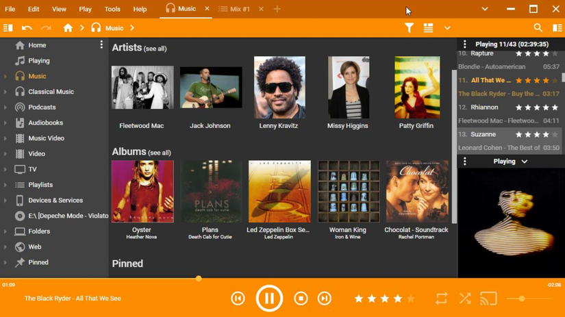 মিডিয়া বানর ইন্টারফেস।