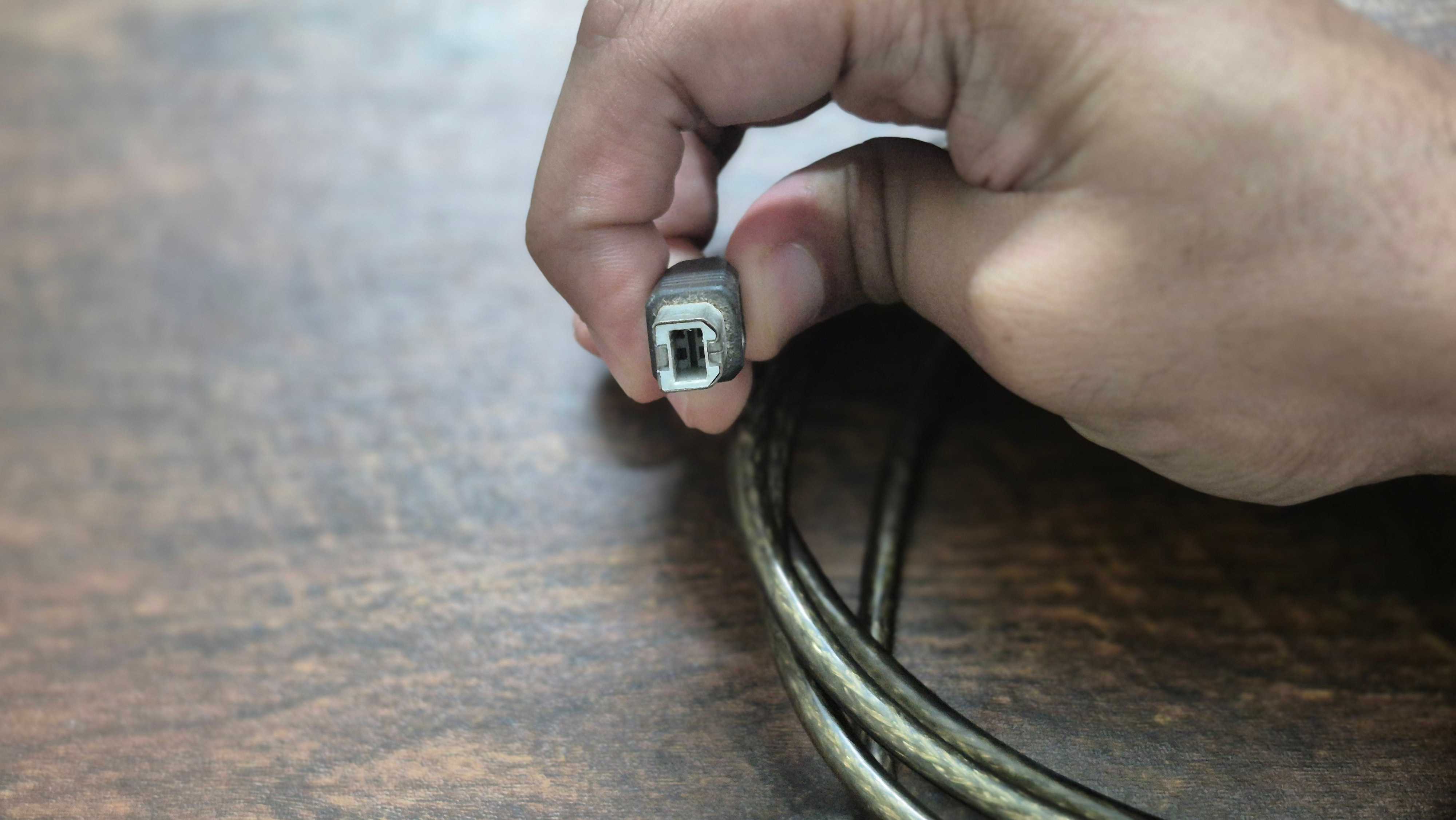 Usb Type B Plugged In What happened to USB Type-B? And why is it still important?