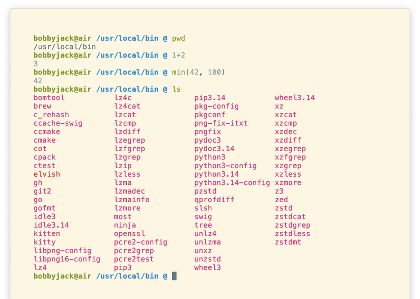 A combination of programs and Python expressions, both run as commands in the Xonsh shell.