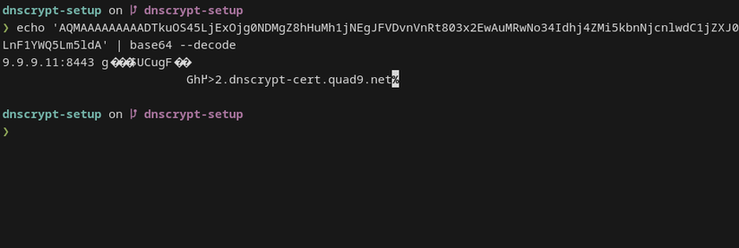 A terminal window displays a decrypted DNSCrypt seal that reveals an IP address and certificate name.