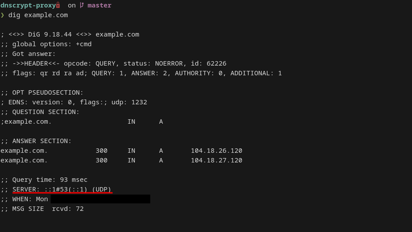 A terminal window shows the output of the drill query for example.com. The server line is highlighted, indicating the request resolved via localhost.