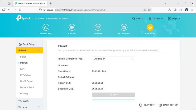 The DNS settings in a TP-Link Router. 