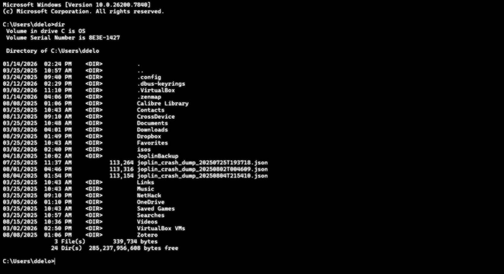 Windows Terminalでコマンドプロンプトを実行している様子
