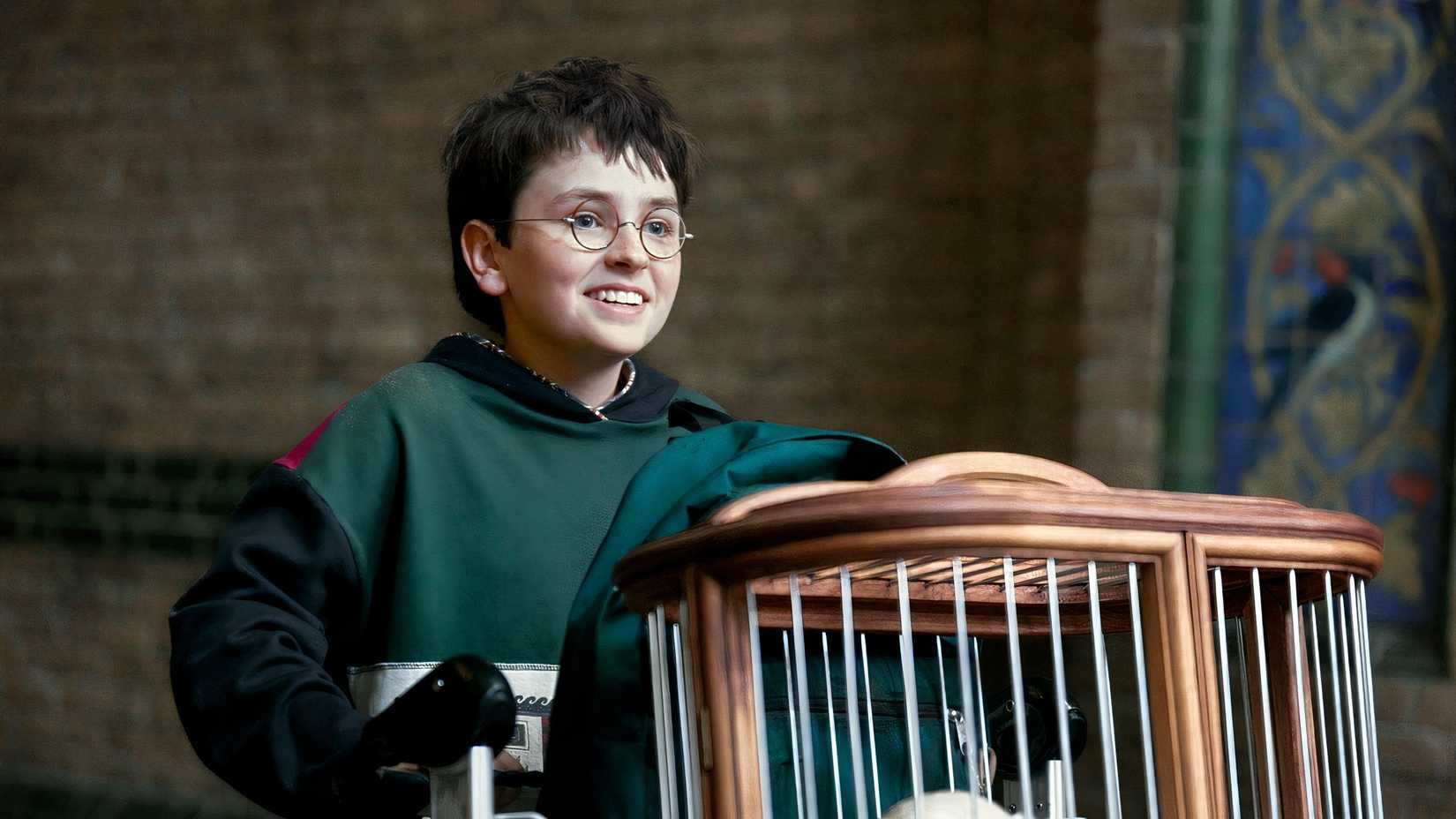 Dominic McLaughlin in Harry Potter.