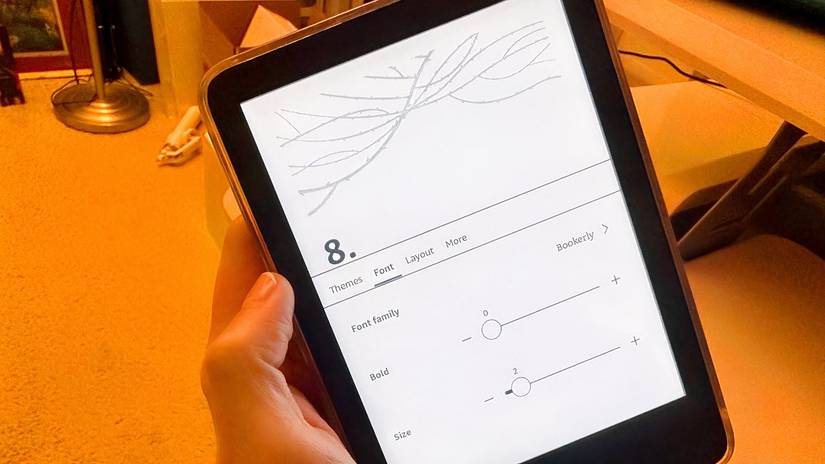 Me showing the Kindle font area