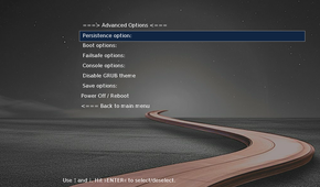 MX Linux Grub Advanced Options settings.
