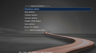 MX Linux Grub Advanced Options settings.