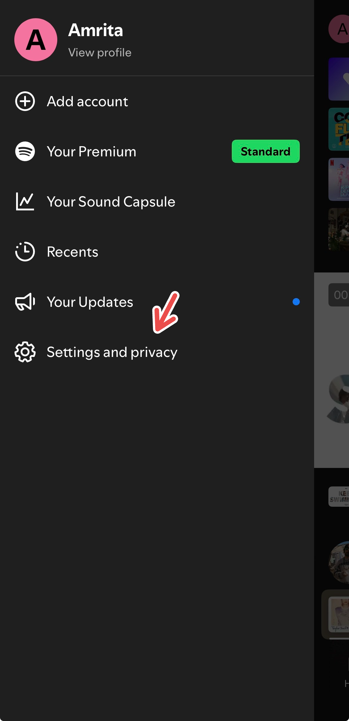 Navigating to Settings and Privacy on Spotify.