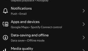 Content and display settings on Spotify.