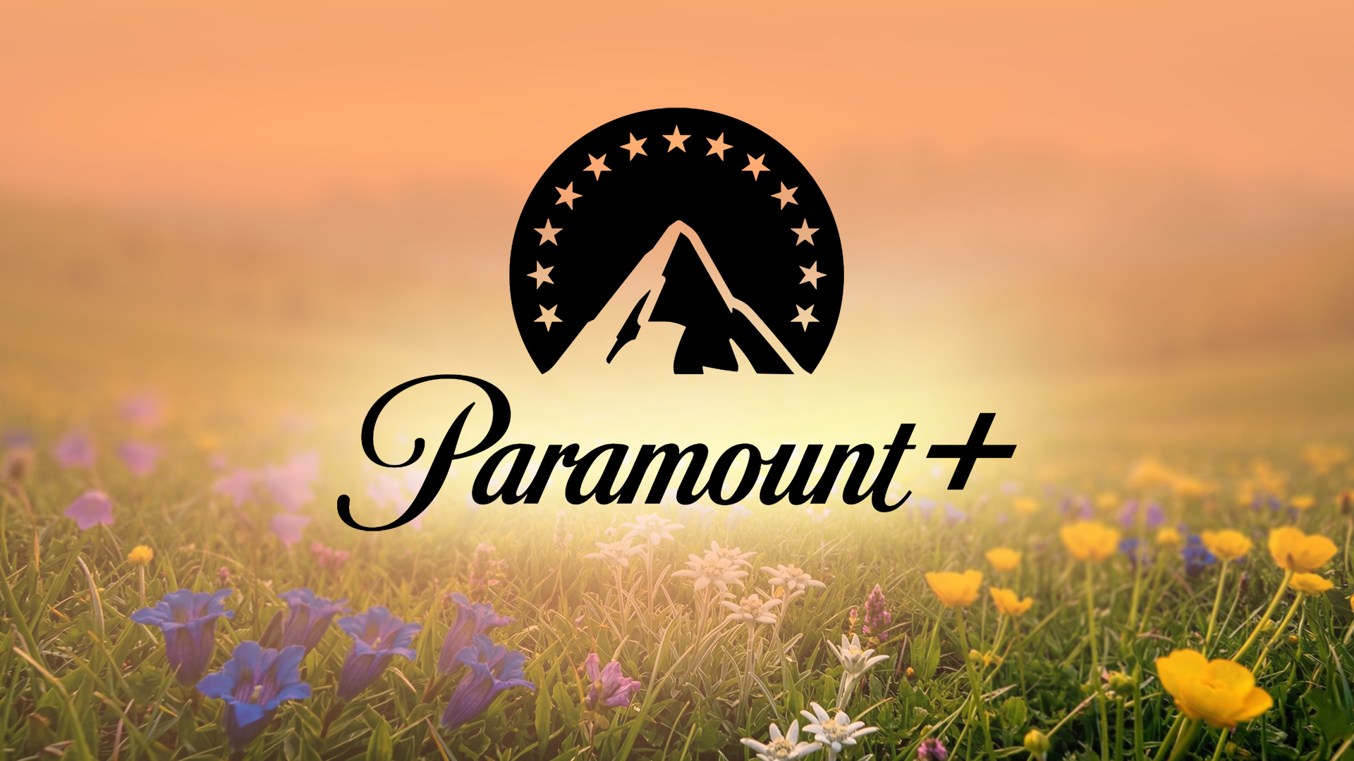 Paramount+ Drops Weekly Must-Watch Movie List: 4 Picks for May 11-17