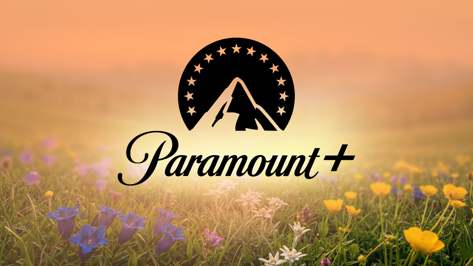 4 spot-on Paramount+ movies to watch this week (May 11 - 17)