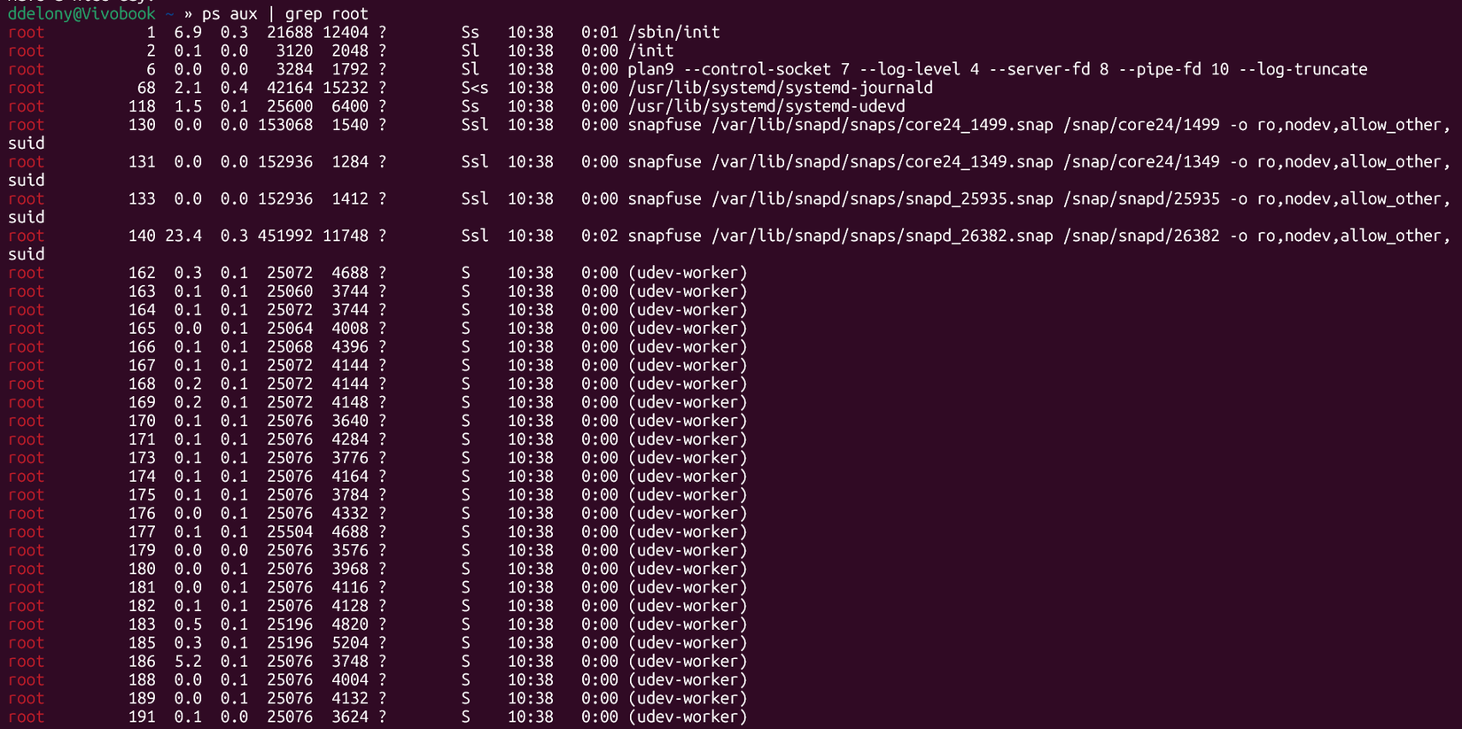 Output of "ps aux" piped into "grep root" on the Linux command line.