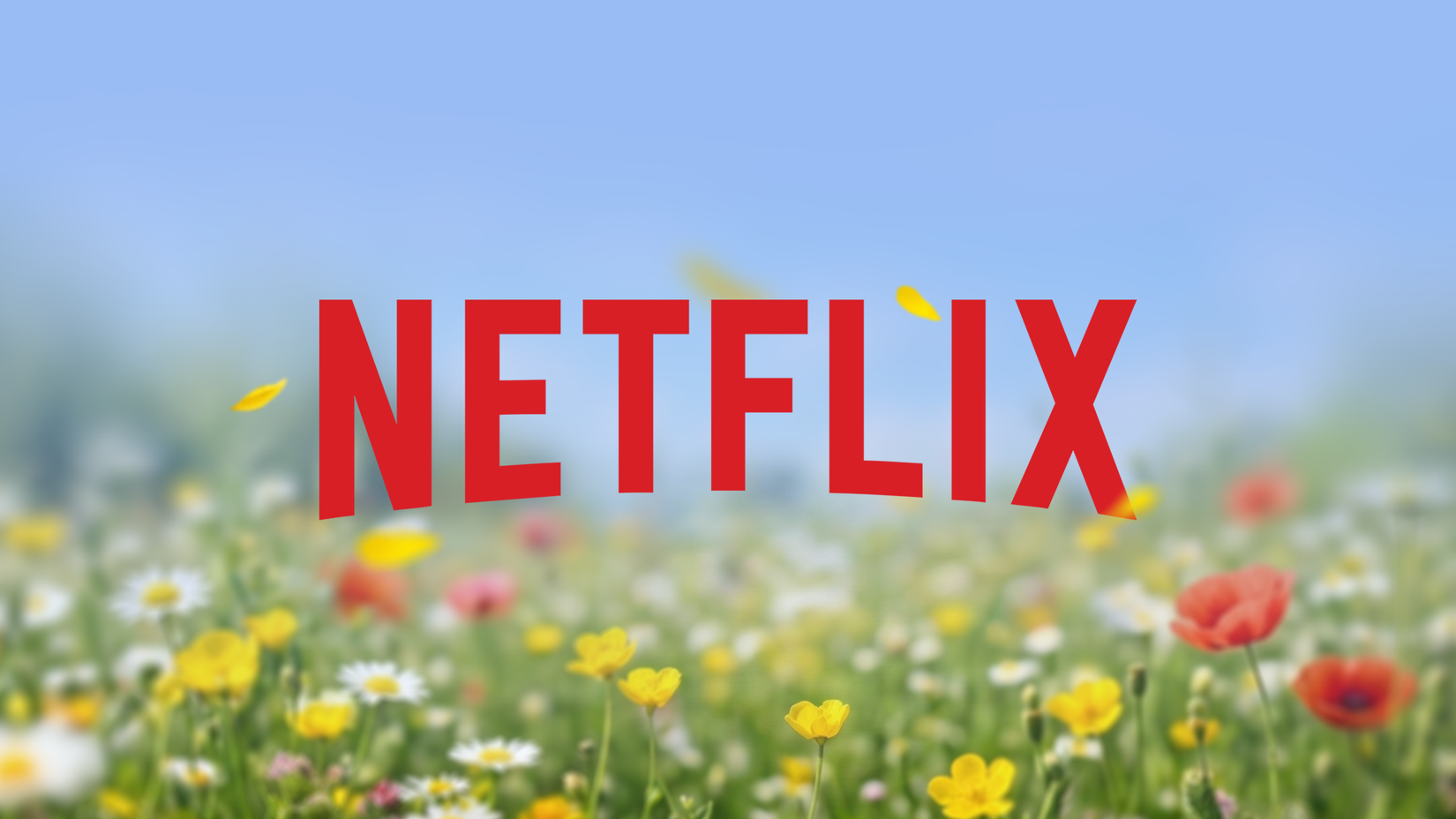 Red Netflix logo centered over a blurred field of colorful wildflowers under a blue sky.