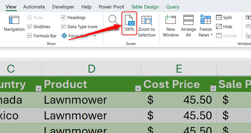 The 100 percent button in the View tab of Excel's ribbon.