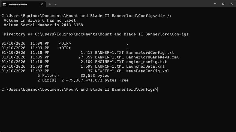 The DOS 8.3-compliant file names in Windows 11.